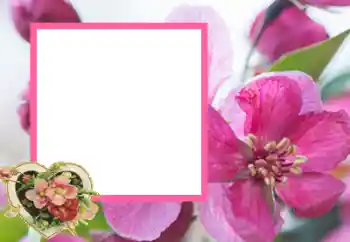 Effet photo de catégorie Cadres pour amoureux № 43593