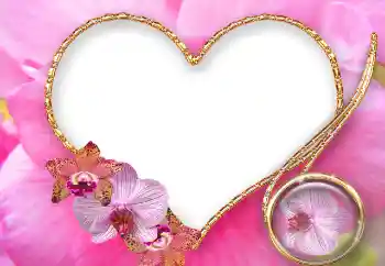 Effet photo de catégorie Cadres pour amoureux № 45943
