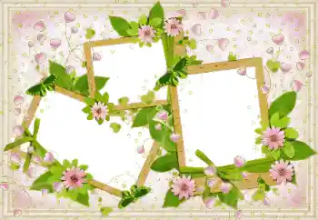 Effet photo de catégorie Cadres pour amoureux № 49513