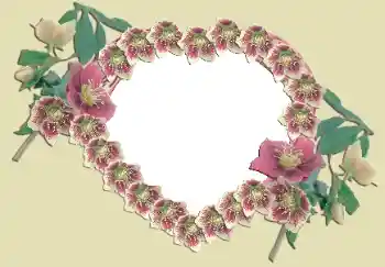 Effet photo de catégorie Cadres pour amoureux № 49524