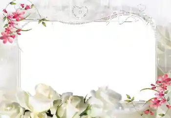 Effet photo de catégorie Cadres pour amoureux № 8728