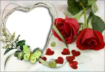 Effet photo de catégorie Cadres pour amoureux № 9605