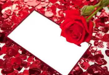 Effet photo de catégorie Cadres pour amoureux № 96066