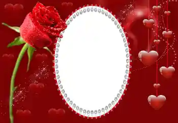 Effet photo de catégorie Cadres pour amoureux № 99736