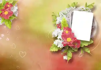 Effet photo de catégorie Cadres pour amoureux № 99937