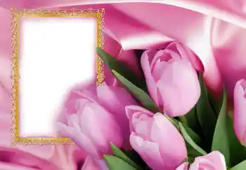 Effet photo de catégorie Cartes de Journée Internationale des Femmes № 130623. Inscription sur le cadre: Joyeuse Journée Internationale des Femmes! Effet photo de catégorie Cartes de Journée Internationale des Femmes № 130623. Inscription sur le cadre: Joyeuse Journée Internationale des Femmes!