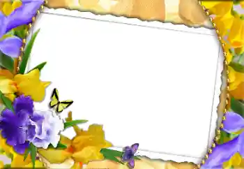 Effet photo de catégorie Cartes de Journée Internationale des Femmes № 130756. Inscription sur le cadre: Joyeuse Journée Internationale des Femmes! Effet photo de catégorie Cartes de Journée Internationale des Femmes № 130756. Inscription sur le cadre: Joyeuse Journée Internationale des Femmes!