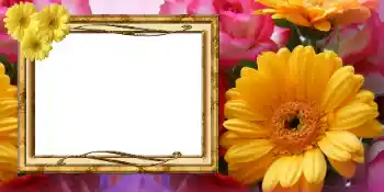 Effet photo de catégorie Cartes de Journée Internationale des Femmes № 42675