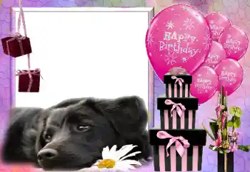 Effet photo de catégorie Cartes d'anniversaire № 116033. Inscription sur le cadre: Joyeux anniversaire !