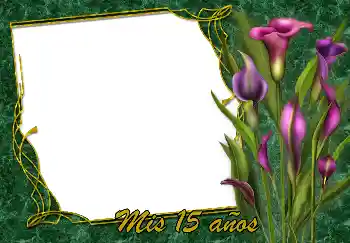 Effet photo de catégorie Cartes d'anniversaire № 188119. Inscription sur le cadre: Bon anniversaire