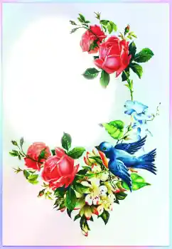 Effet photo de catégorie Fêtes diverses № 116213. Inscription sur le cadre: Félicitations! Effet photo de catégorie Fêtes diverses № 116213. Inscription sur le cadre: Félicitations!