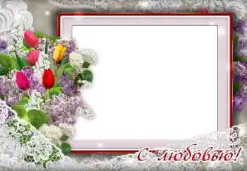 Effet photo de catégorie Fêtes diverses № 139926. Inscription sur le cadre: Félicitations!