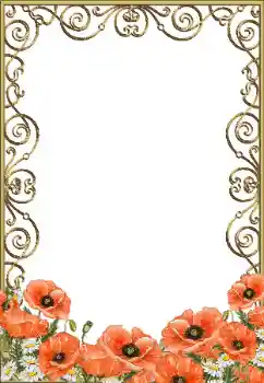 Effet photo de catégorie Fêtes diverses № 33872. Inscription sur le cadre: Journée du souvenir et de la réconciliation