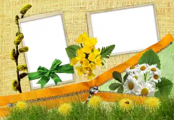 Effet photo de catégorie Fêtes diverses № 84202