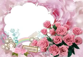 Effet photo de catégorie Fêtes diverses № 87846. Inscription sur le cadre: Félicitations!