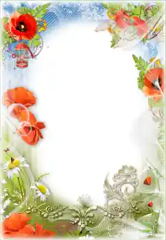 Effet photo de catégorie Fêtes diverses № 98707. Inscription sur le cadre: Journée du souvenir et de la réconciliation Effet photo de catégorie Fêtes diverses № 98707. Inscription sur le cadre: Journée du souvenir et de la réconciliation