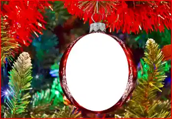 Effet photo de catégorie Cartes de Noël № 179432