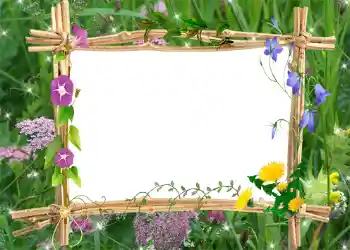 Effet photo de catégorie Eté № 1001