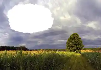Effet photo de catégorie Eté № 114385