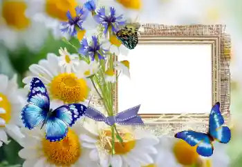 Effet photo de catégorie Eté № 114393