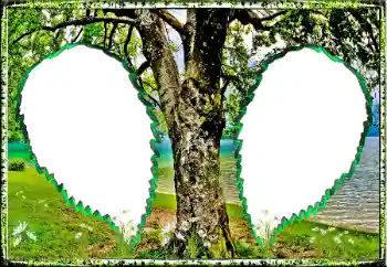 Effet photo de catégorie Eté № 123182