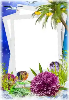 Effet photo de catégorie Eté № 124280