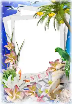 Effet photo de catégorie Eté № 124282
