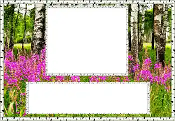 Effet photo de catégorie Eté № 131011