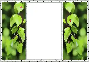 Effet photo de catégorie Eté № 132875