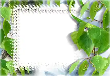 Effet photo de catégorie Eté № 132911