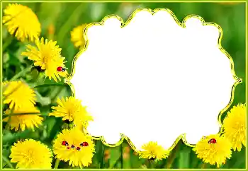 Effet photo de catégorie Eté № 132994