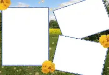 Effet photo de catégorie Eté № 13915