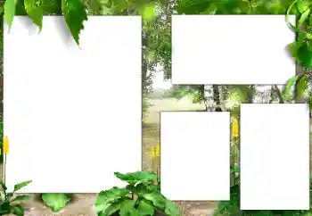 Effet photo de catégorie Eté № 141163