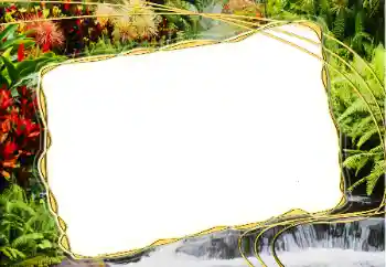 Effet photo de catégorie Eté № 14917