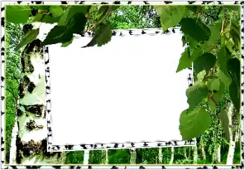 Effet photo de catégorie Eté № 154334 Effet photo de catégorie Eté № 154334