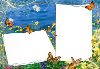 Effet photo de catégorie Eté № 163330