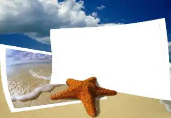 Effet photo de catégorie Eté № 25435