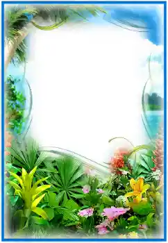 Effet photo de catégorie Eté № 25474