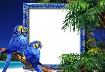 Effet photo de catégorie Eté № 26552