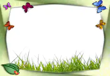 Effet photo de catégorie Eté № 2756