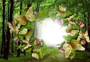 Effet photo de catégorie Eté № 5287