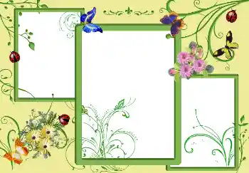 Effet photo de catégorie Eté № 5335