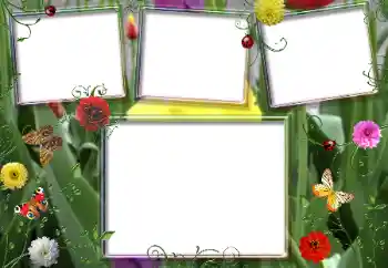 Effet photo de catégorie Eté № 66987