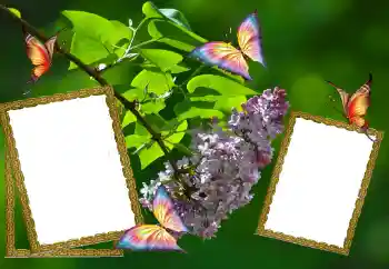 Effet photo de catégorie Eté № 81627