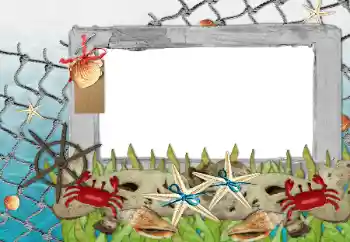 Effet photo de catégorie Eté № 85339