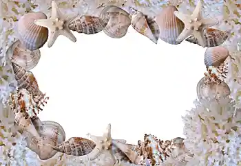 Effet photo de catégorie Eté № 88088