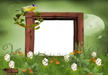 Effet photo de catégorie Eté № 9650