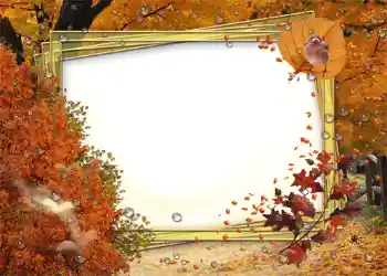 Effet photo de catégorie Automne № 1007