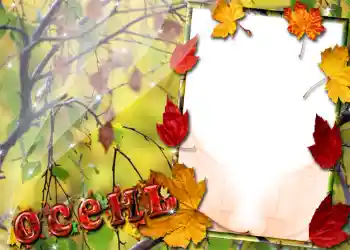 Effet photo de catégorie Automne № 1016
