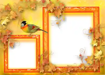 Effet photo de catégorie Automne № 1124